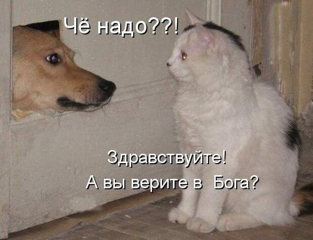1440841001-a84e6a0d4995cfd10243bd5c5c8f83ff