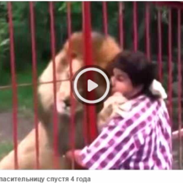 Лев узнал свою спасительницу спустя 4 года