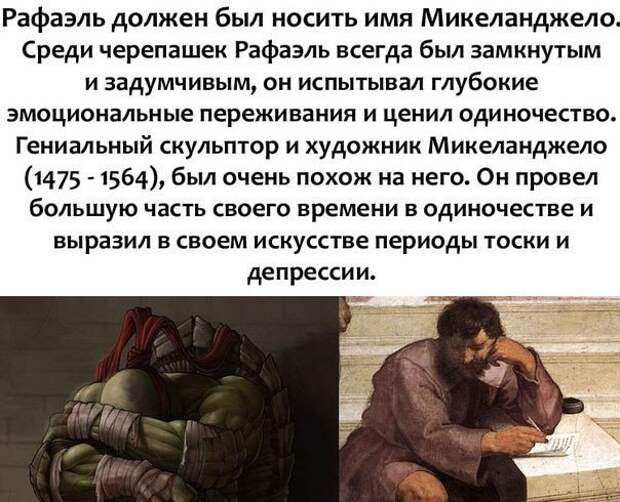 Черепашкам-ниндзя дали перепутанные имена Черепашкам-ниндзя дали перепутанные имена