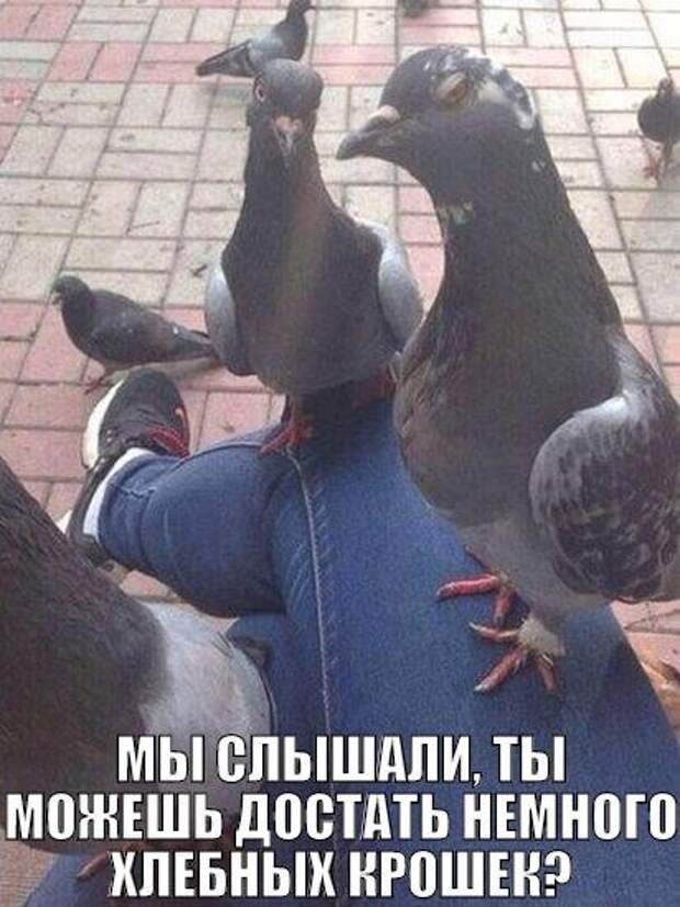 Разнообразная подборка =) Улыбок! Разнообразная подборка =) Улыбок!