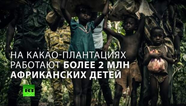 На какао-плантациях Нестле работают более 2-х миллионов детей На какао-плантациях Нестле работают более 2-х миллионов детей