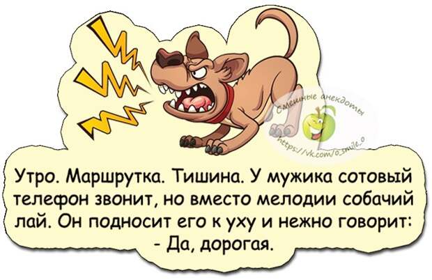 Две подруги встречаются одна другой говорит: — Купила своему мыло «Юность»...