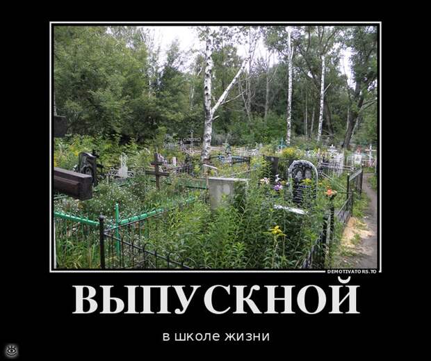 Просветление - это сюда! 19