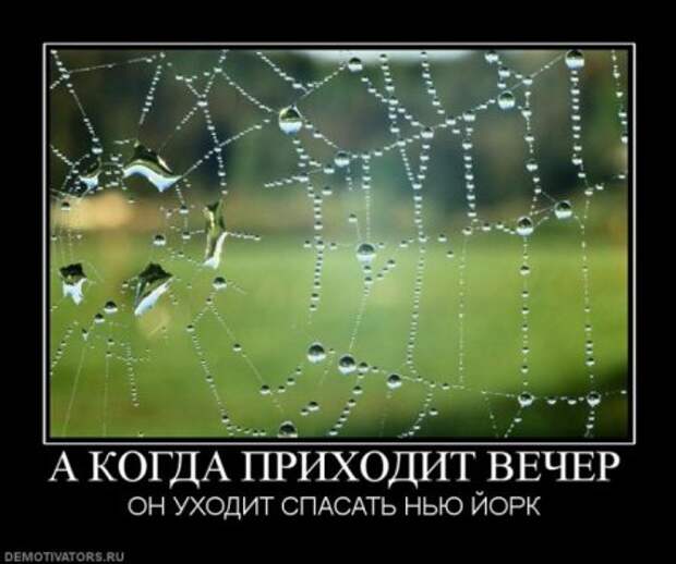 пятничные уматные демки)