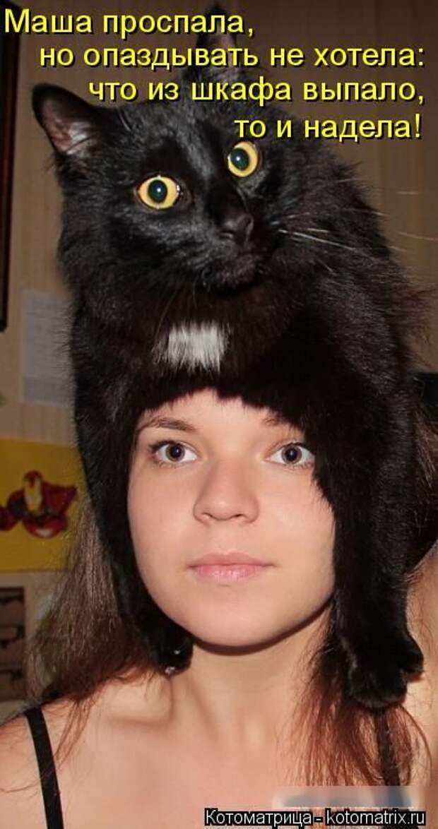 Лучшие котоматрицы недели