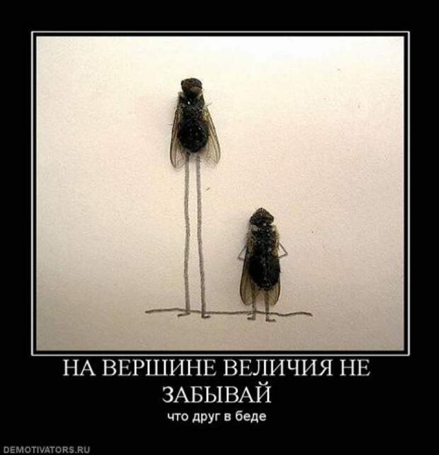 Демотиваторы смысловые.