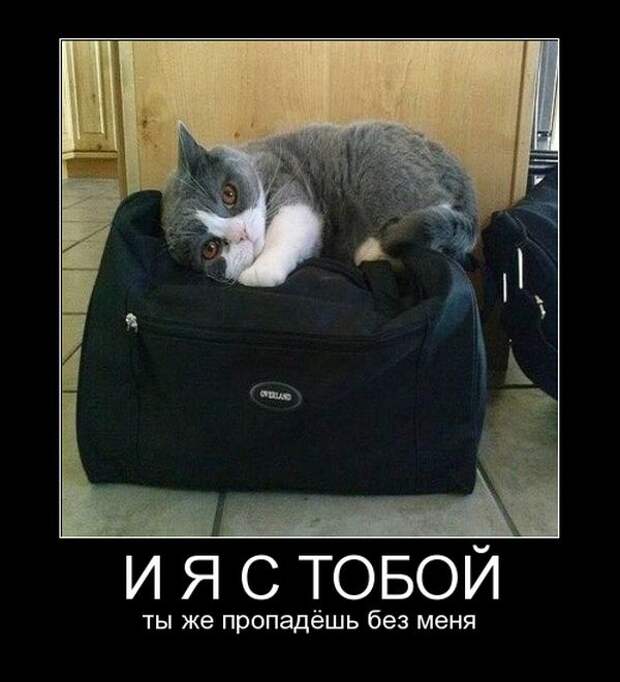 Демотиваторы демотиваторы, юмор