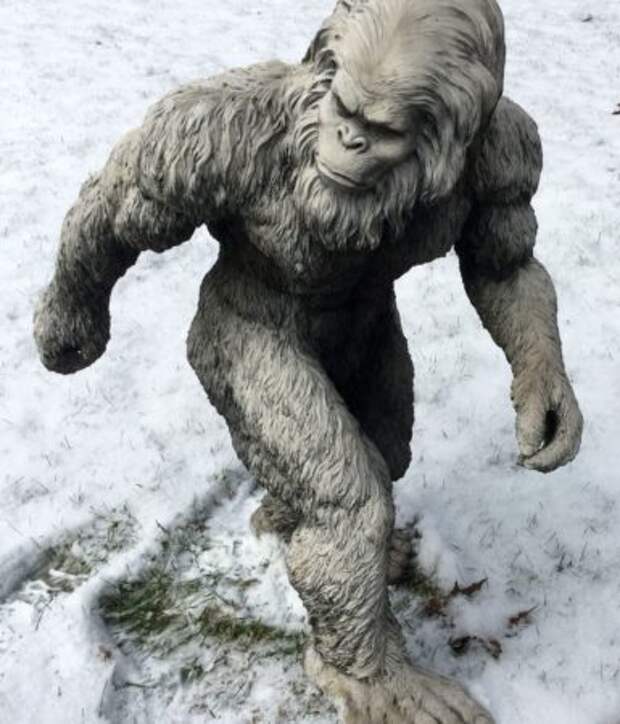 Снежный человек