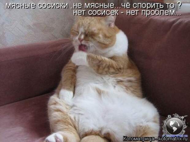 Прикольные коты в котоматрицах.