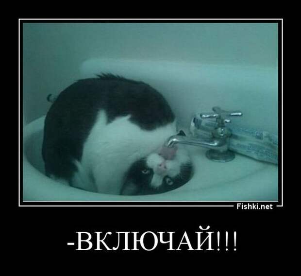Демотиваторы  демотиваторы, прикол, смех, юмор