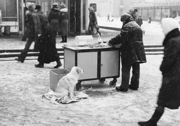 Как жилось в СССР в далеких 80-х Как жилось в СССР в далеких 80-х