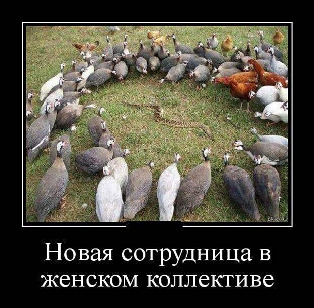 Демотиваторы демотиваторы, юмор