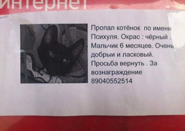 25 гениальных объявлений 2014 года объявления, смешно