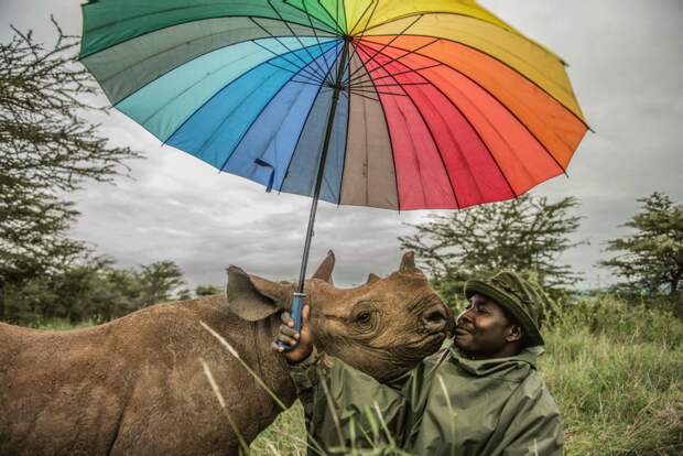 Reteti Elephant Sanctuary, Kenya Ami Vitale | Missoula, United States