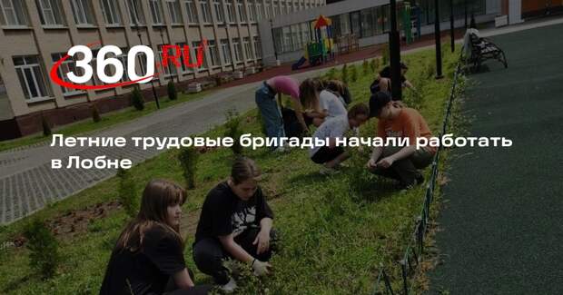 Летние трудовые бригады начали работать в Лобне