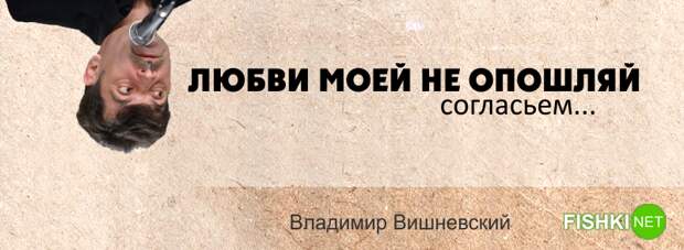 15 искромётных одностиший Владимира Вишневского на каждый день Владимир Вишневский, Одностишья