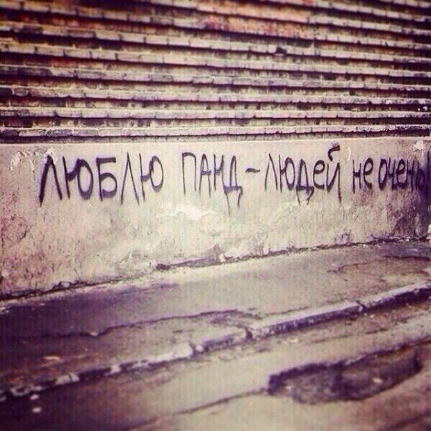 философские надписи на стенах 