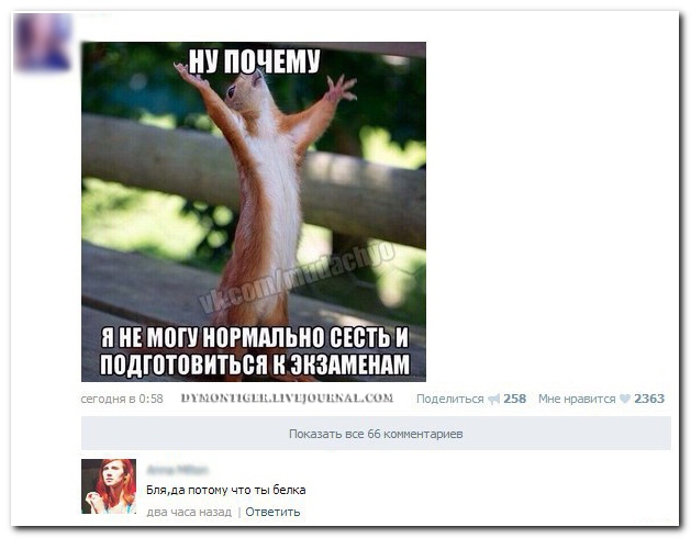 Смешные комментарии из социальных сетей 24.05.14 комментарии, прикол, соцсети