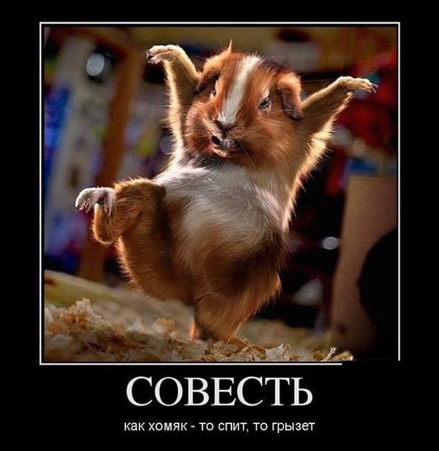 Демотиваторы (30 фото)