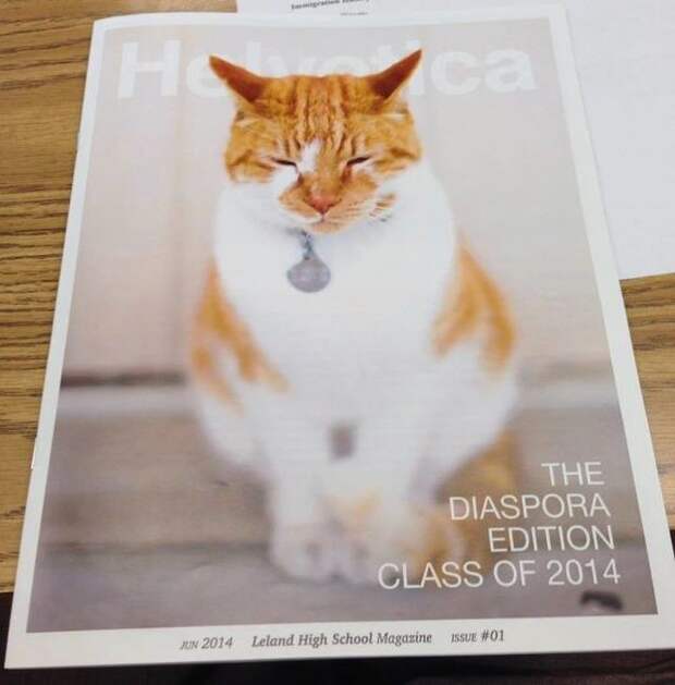 Он также попал на почетное место на обложке школьной газеты. животные, история, коты, студент