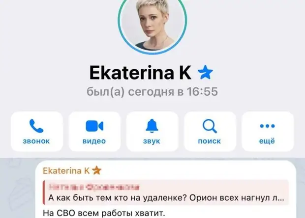 Очередная крыса высказалась «Интернета нет? Идите на СВО»
