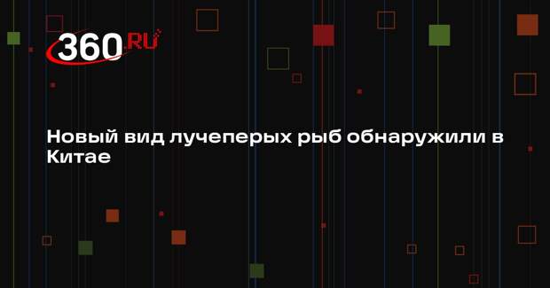 Новый вид лучеперых рыб обнаружили в Китае