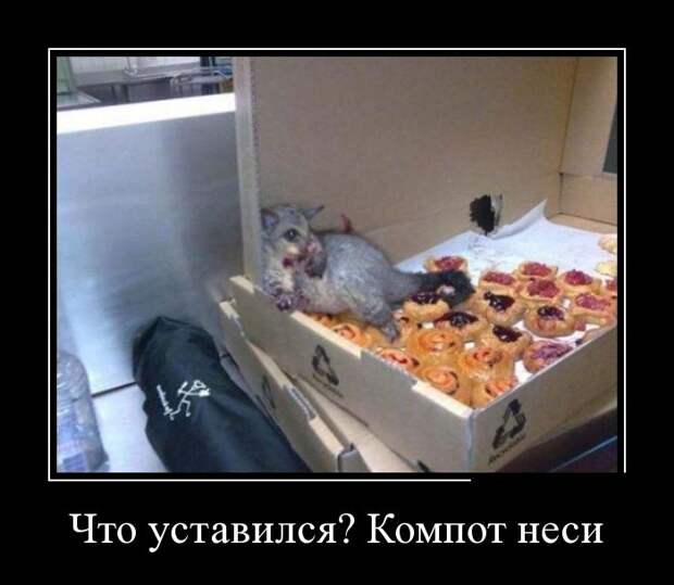 Демотиваторы демотиваторы, прикол, смех, юмор