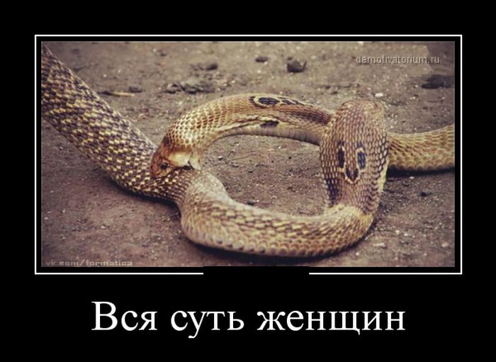 Демотиваторы (30 фото) Демотиваторы (30 фото)