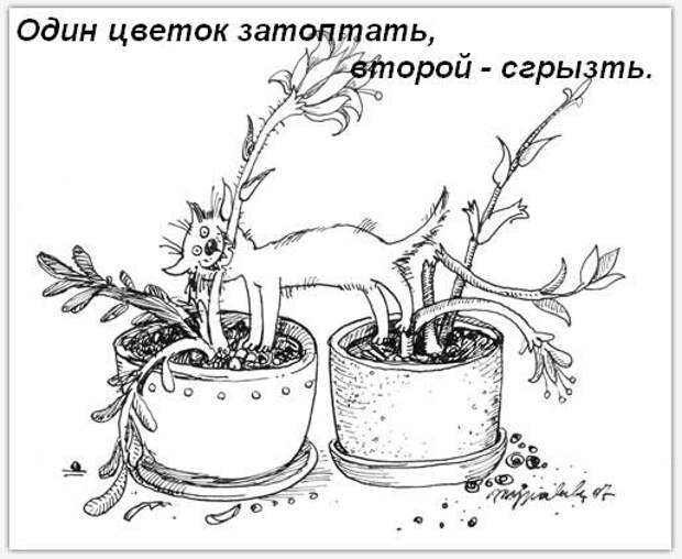 Обязанности кота по дому!