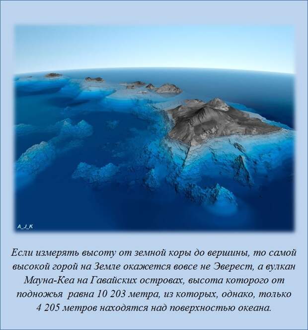 Только факты и ничего, кроме них (20 штук) Только факты и ничего, кроме них (20 штук)