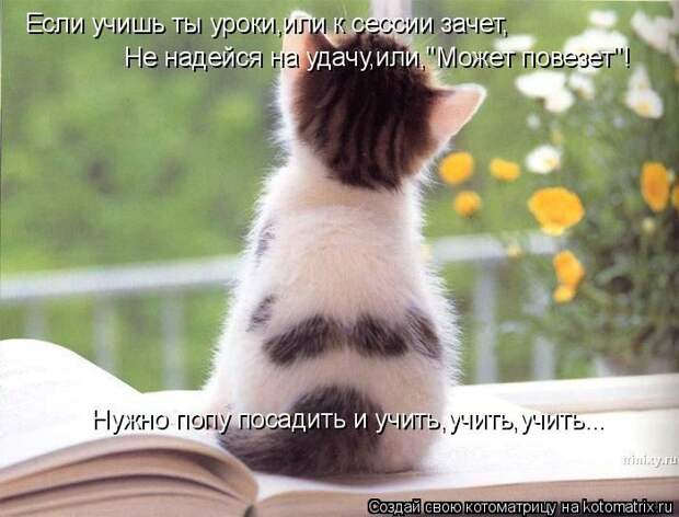 Мысли вслух :)
