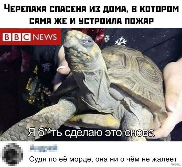 100% приколюхи, от которых болит живот