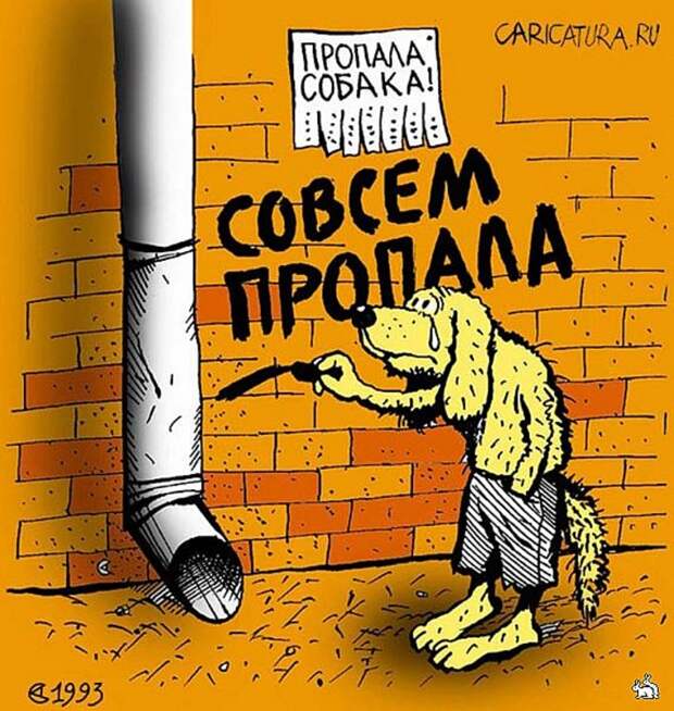 Пропасть собака. Карикатура пропала собачка. Потерялась собака карикатура. Куда пропал картинки смешные. Карикатура потерчласьсобака.