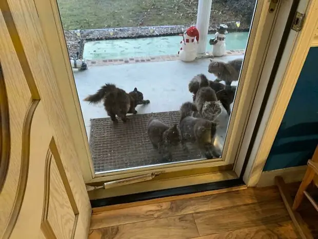 ���� � ������� ��� �������� ���������� � ���� ��������