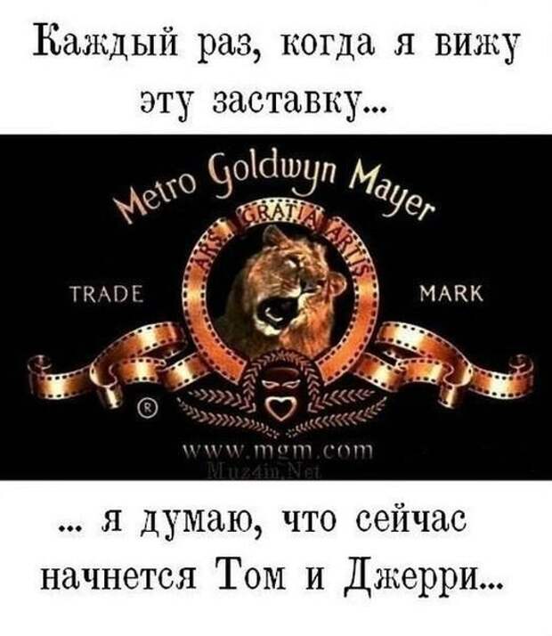 Смешные картинки с надписями прикол, юмор