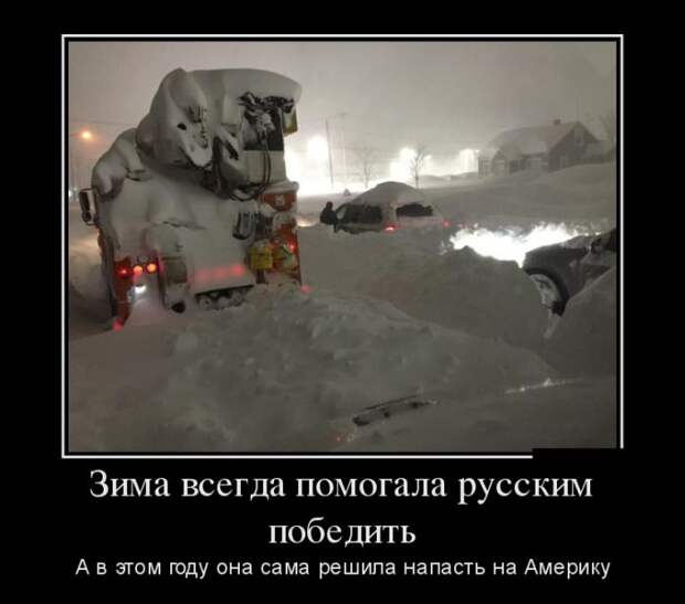 Демотиваторы бревно, демотиваторы, юмор