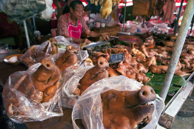 Рынок Клонг Той, Таиланд