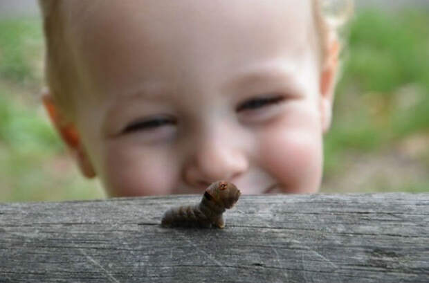 Фотографии, на которые невозможно смотреть равнодушно
