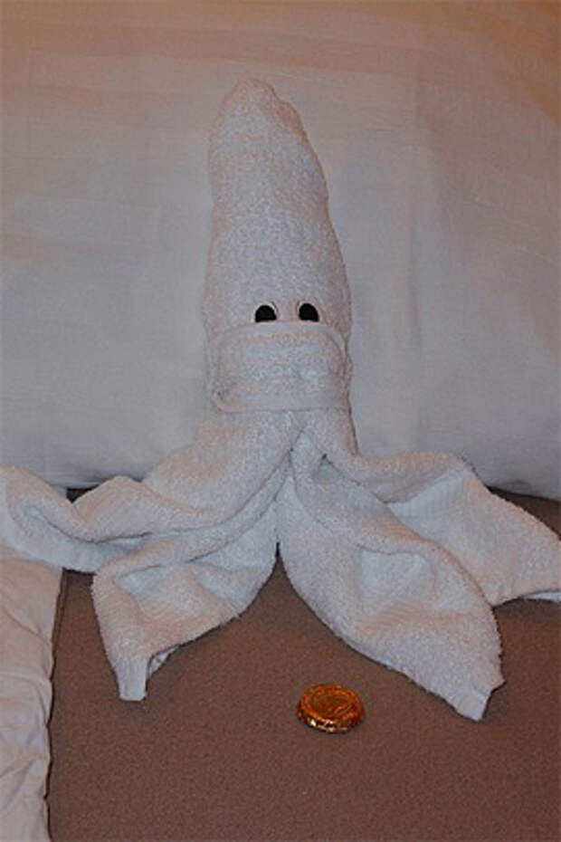 Towel Art