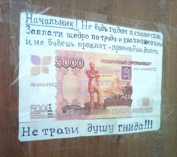 Счастливые люди, которым повезло с начальством Счастливые люди, которым повезло с начальством прикол, работа, юмор