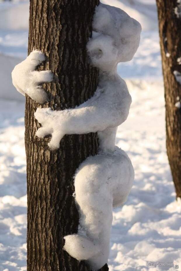 Казусы, возможные только зимой 10