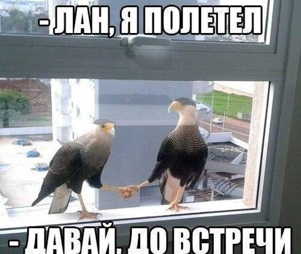 Просто приколы