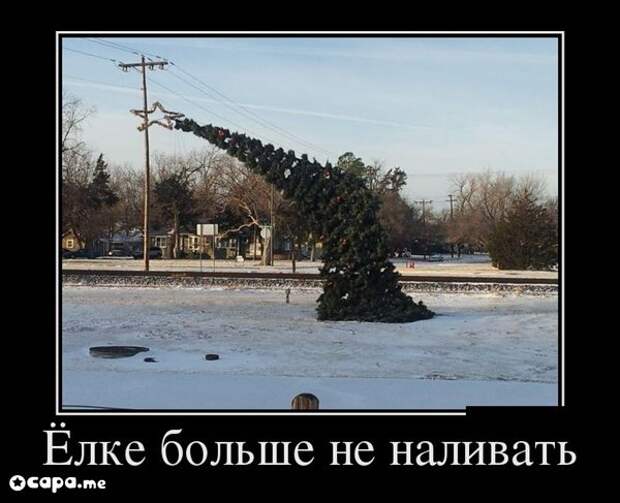 Подборка новогодних демотиваторов
