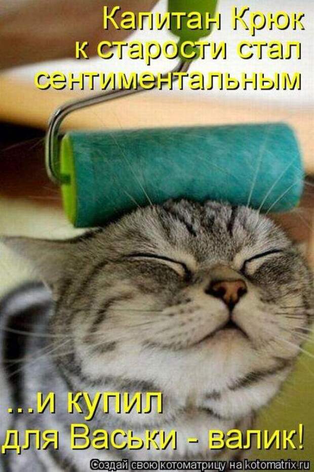 Котоматрица Котоматрица