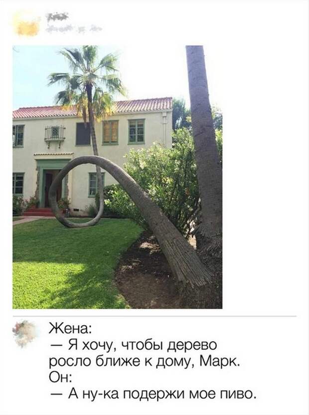 Комментариии пользователей, которые могут превратить в шутку все что угодно Комментариии пользователей, которые могут превратить в шутку все что угодно