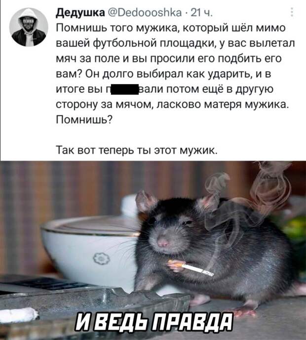 Смешные картинки вечер 18 августа 2021