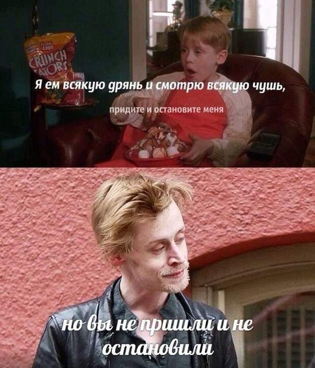 Прикольные картинки