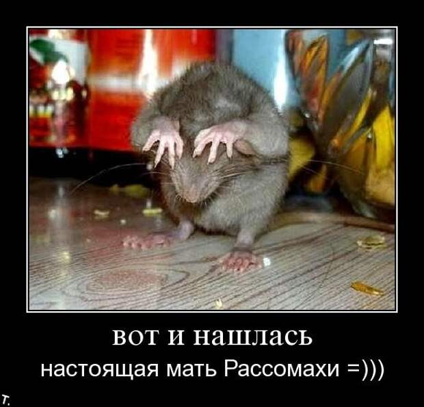 Подборка демотиваторов (84 фото)