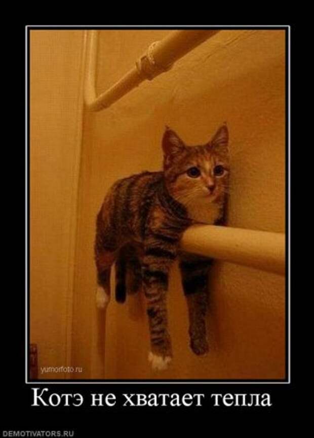 Прикольные демотиваторы только для Вас!