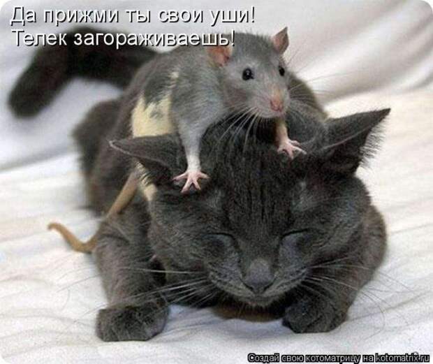 Мысли вслух :)